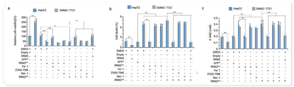  Fig.7. In vivo photometric testing of mice [3] 