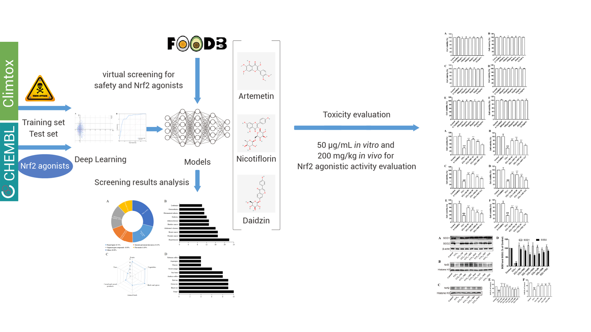 AI Deep Learning Accelerates Drug Development 