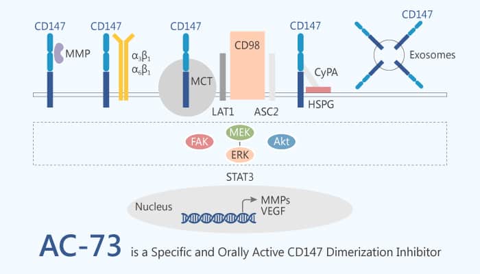 AC-73 is a Specific and Orally Active CD147 Dimerization Inhibitor