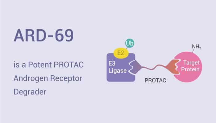 ARD-69 is a Potent PROTAC Androgen Receptor Degrader