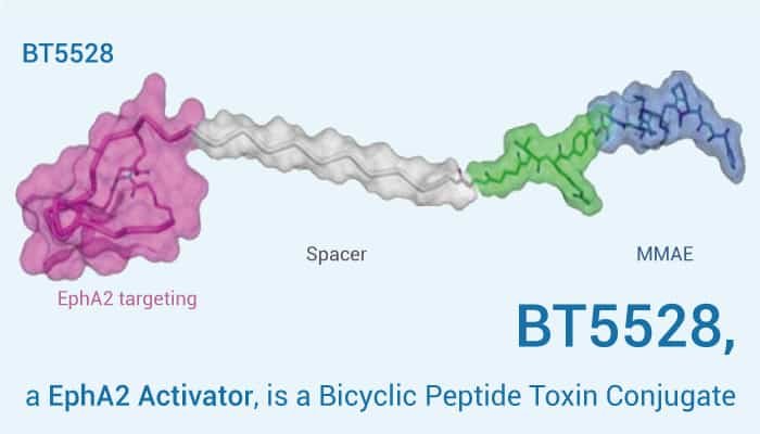 BT5528 is a Bicyclic Peptide Toxin Conjugate, an EphA2 Activator.