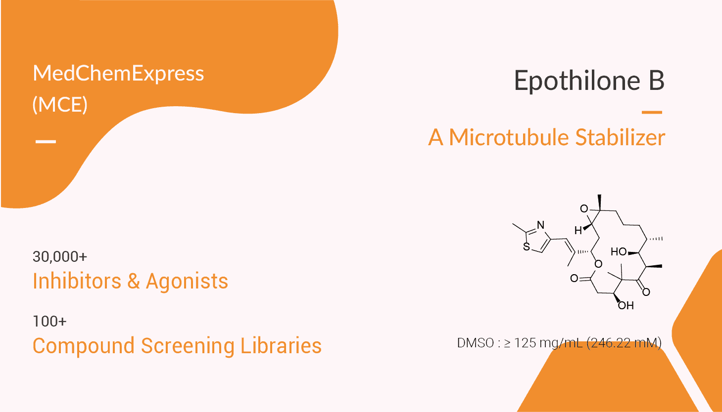 Epothilone B is a Microtubule Stabilizer