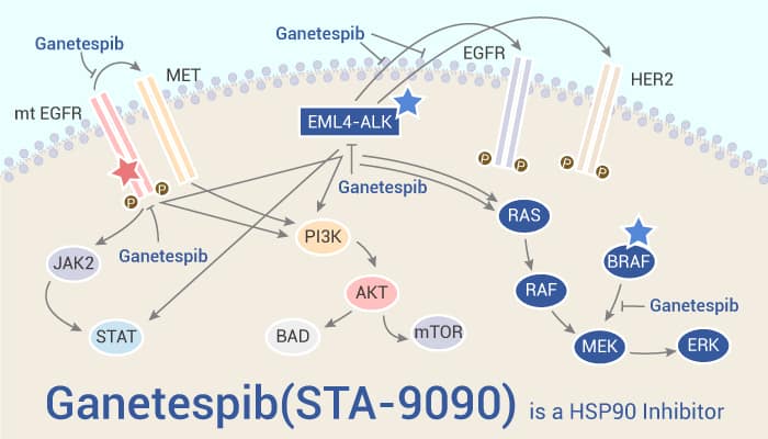 Ganetespib (STA-9090) is a HSP90 Inhibitor