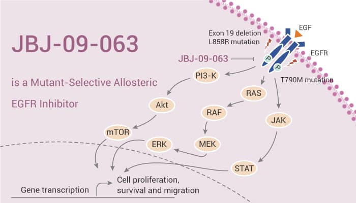 JBJ-09-063 is a Mutant-Selective Allosteric EGFR Inhibitor