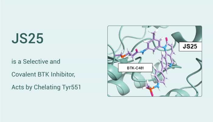 JS25, a Selective and Covalent BTK Inhibitor, Acts by Segregating Tyr551