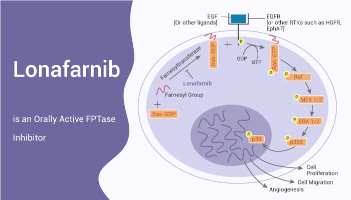 Lonafarnib is an Orally Active FPTase Inhibitor