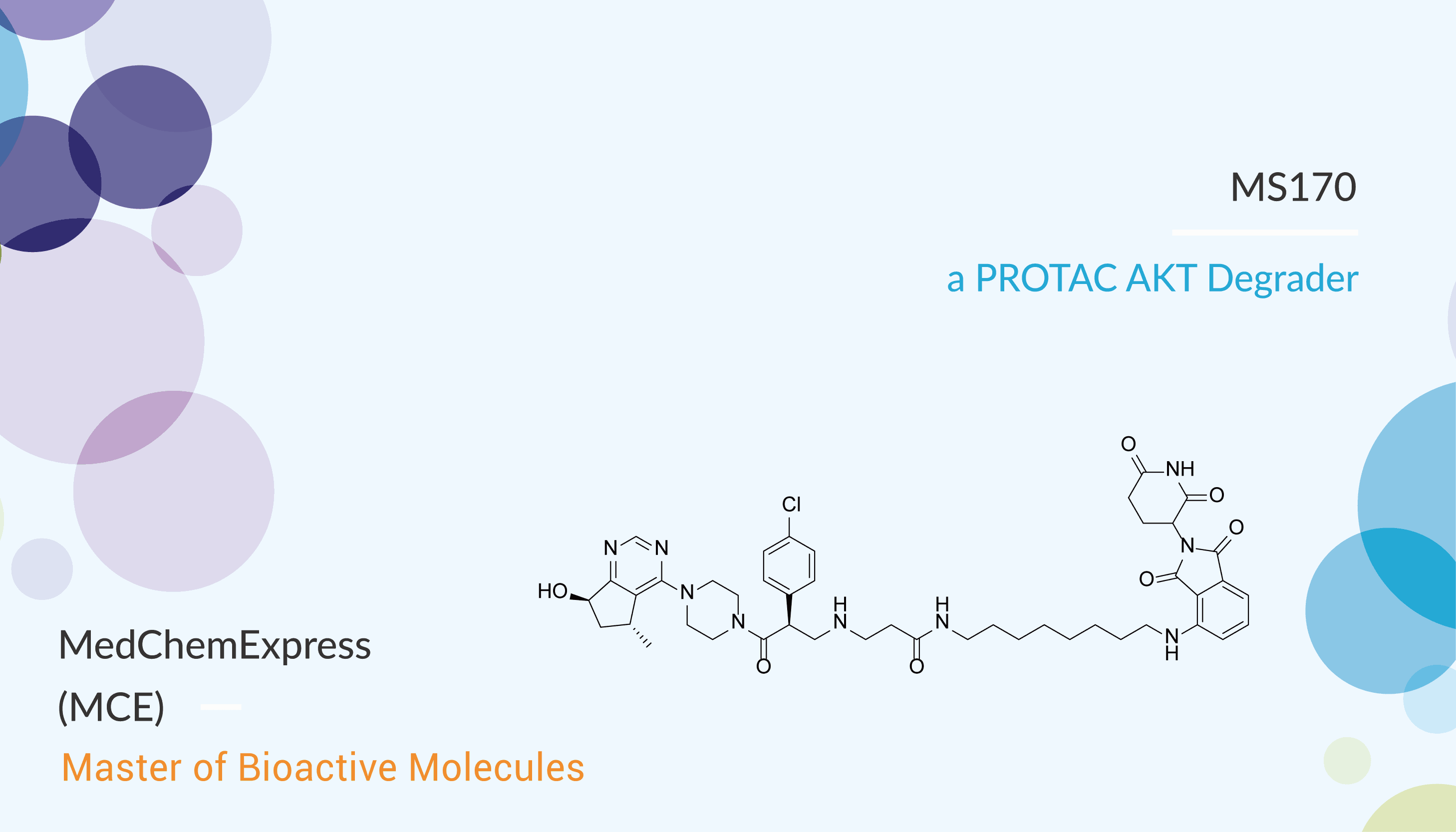 MS170 is a PROTAC AKT Degrader