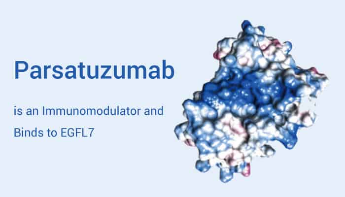 Parsatuzumab (RG 7414) is a Humanized mAb, Binding to EGFL7