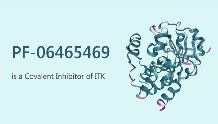 PF-06465469 is a Covalent Inhibitor of ITK