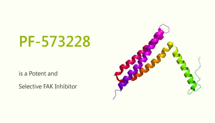 PF-573228 is a Potent and Selective FAK Inhibitor