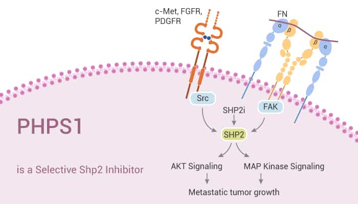 PHPS1 is a Selective Shp2 Inhibitor