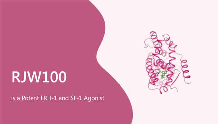 RJW100 is a Potent LRH-1 and SF-1 Agonist