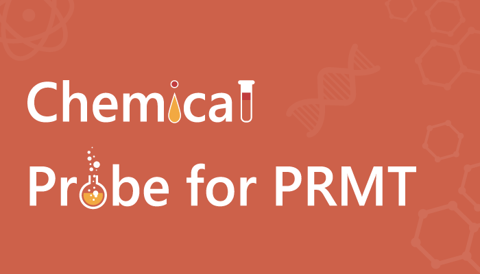 Role of PRMT7 Probe SGC3027 in Cancer