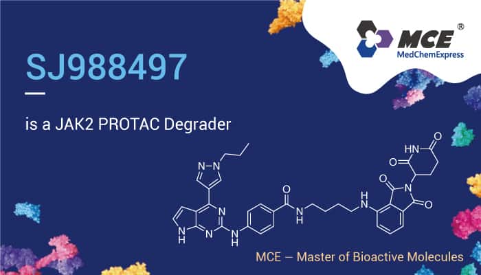 SIAIS100 is a Potent BCR-ABL PROTAC Degrader