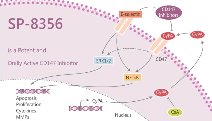 SP-8356 is a Potent and Orally Active CD147 Inhibitor