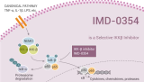 IMD-0354 is a Selective IKKβ Inhibitor