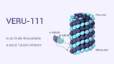 VERU-111 is an Orally Bioavailable α and β Tubulin Inhibitor