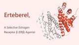 Erteberel is a Selective ERβ Agonist